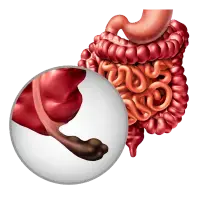 Especialista en Gastroenterología en Cd. Obregón