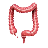 Especialista en Gastroenterología en Cd. Obregón