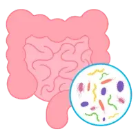 Especialista en Gastroenterología en Cd. Obregón