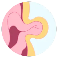 Especialista en Gastroenterología en Cd. Obregón