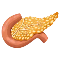 Especialista en Gastroenterología en Cd. Obregón